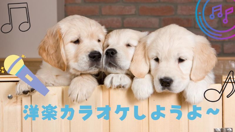 無料 英語学習を楽しく 洋楽カラオケをおすすめする理由 Youtube Englishpuppy